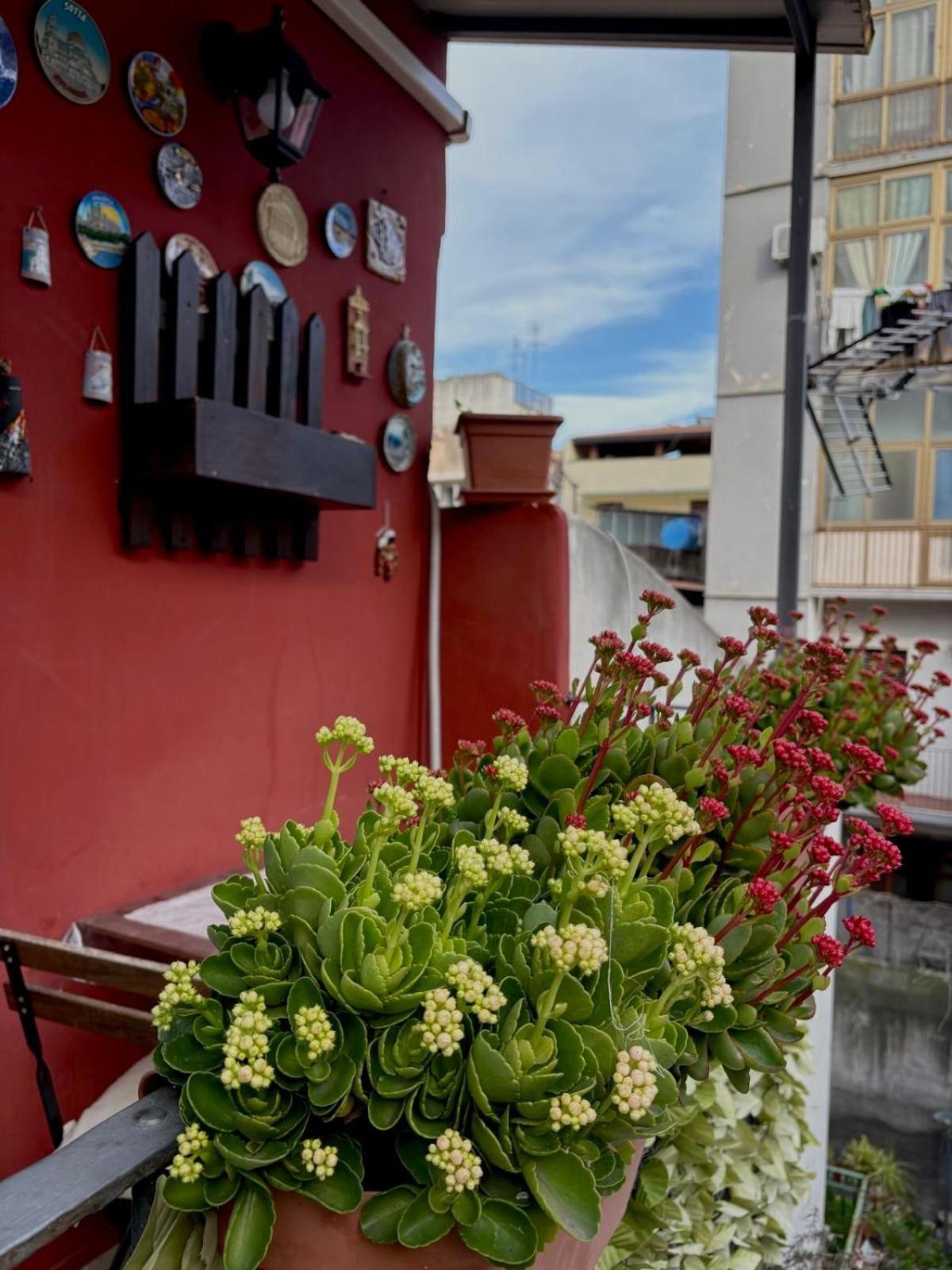 Roc House Daire Katanya Dış mekan fotoğraf